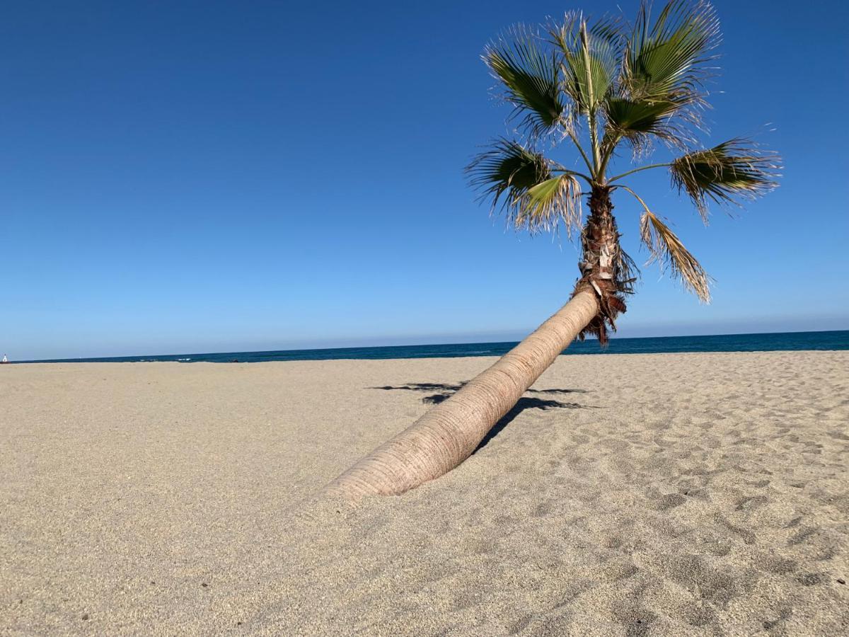 Résidence La Pinède Le Barcarès Extérieur photo