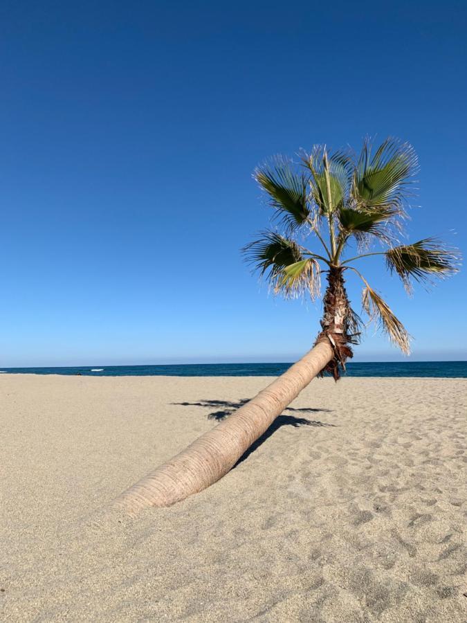 Résidence La Pinède Le Barcarès Extérieur photo